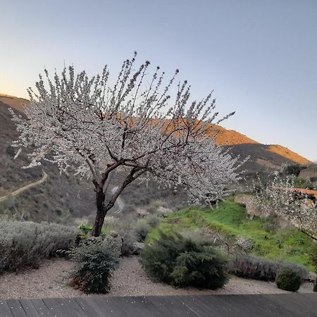 בית הארחה וילה נובה דה פוז קואה 	Bairro Do Casal - Turismo D'Aldeia מראה חיצוני תמונה