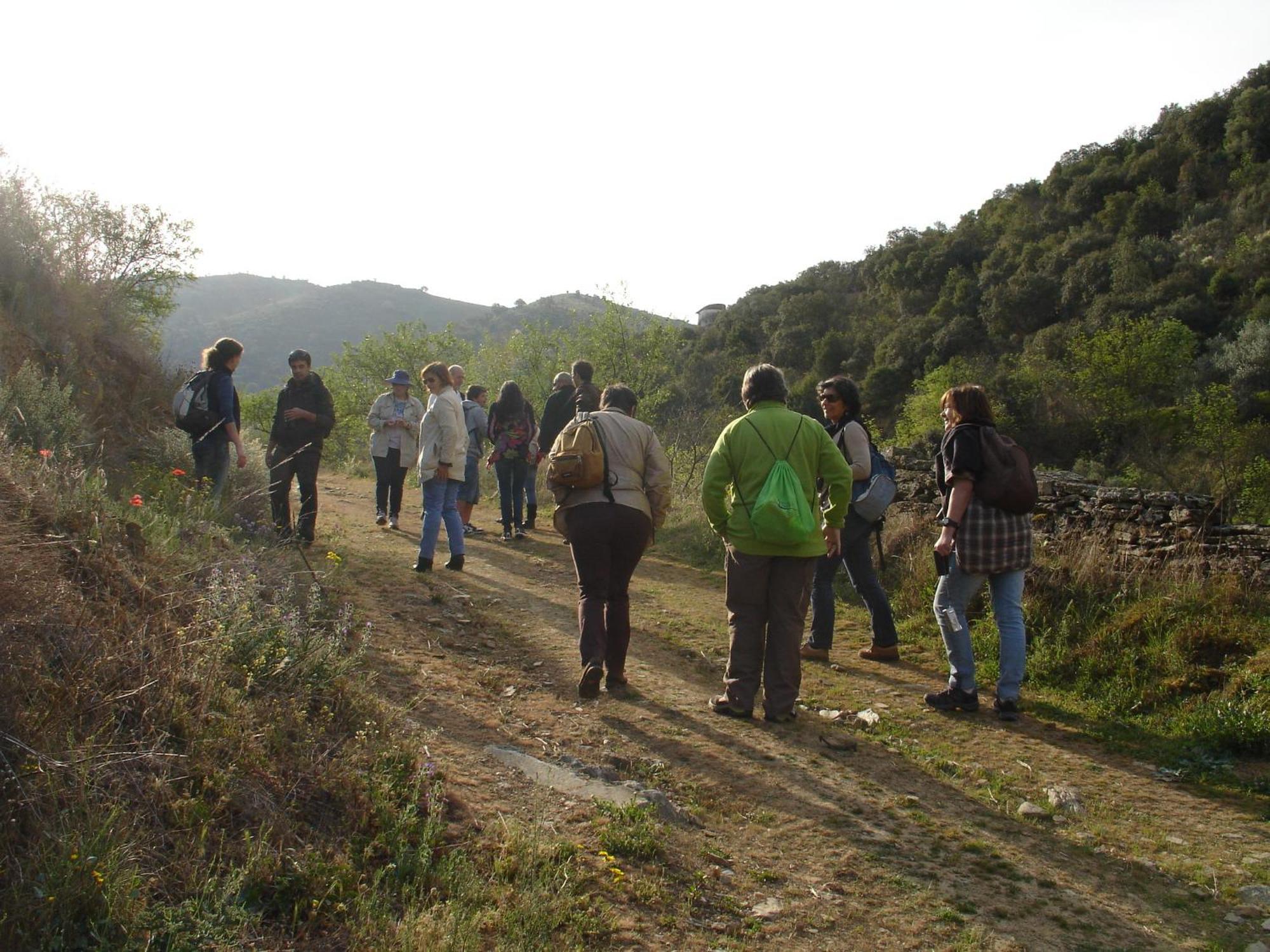 בית הארחה וילה נובה דה פוז קואה 	Bairro Do Casal - Turismo D'Aldeia חדר תמונה