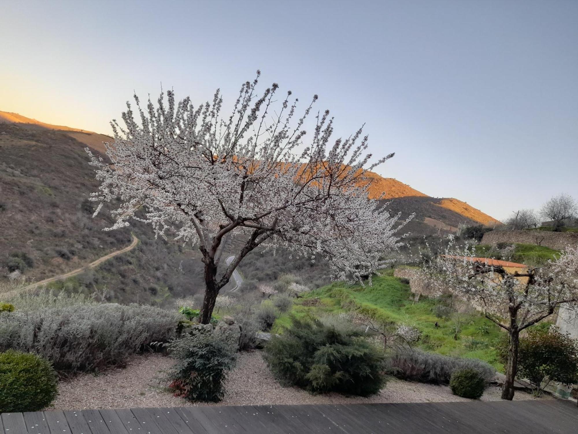 בית הארחה וילה נובה דה פוז קואה 	Bairro Do Casal - Turismo D'Aldeia מראה חיצוני תמונה